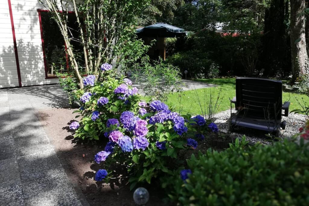 Chalet Roodborstje 4 Persoonschalet *